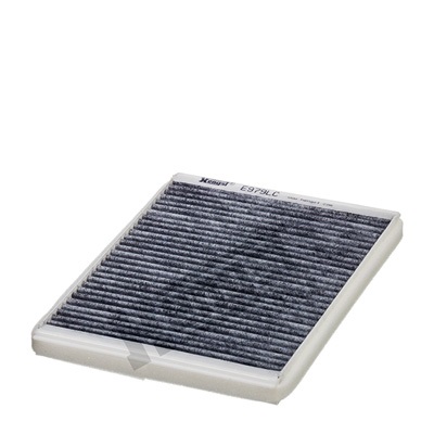 Raitisilmasuodatin HENGST FILTER E979LC