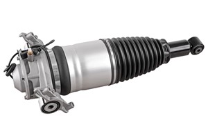 Ilmajousijalka, Taka-akseli, vasen, PORSCHE CAYENNE, VW TOUAREG, 7P6 616 019 G, 7P6 616 019 H, 7P6 616 019 J, 7P6 616 019 K, 7P6 616 019