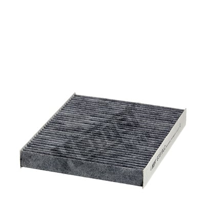 Raitisilmasuodatin HENGST FILTER E3919LC