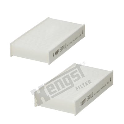 Raitisilmasuodatin HENGST FILTER E3934LI-2
