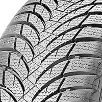 Nexen Winguard SnowG WH2 (225/55 R16 95H)