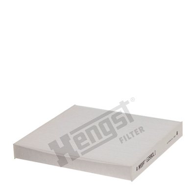 Raitisilmasuodatin HENGST FILTER E2990LI