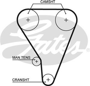 Hammashihna, TOYOTA, 13568-16010, 13568-16020, 13568-16021, 13568-19145