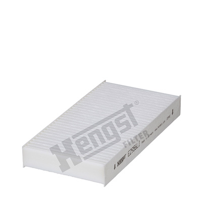 Raitisilmasuodatin HENGST FILTER E2956LI