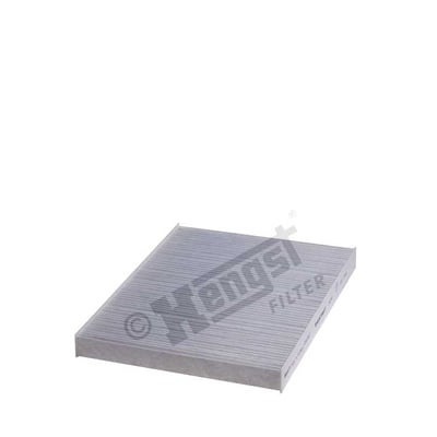 Raitisilmasuodatin HENGST FILTER E900LI