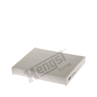 Raitisilmasuodatin HENGST FILTER E2959LI