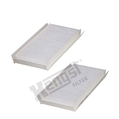 Raitisilmasuodatin HENGST FILTER E3991LI-2