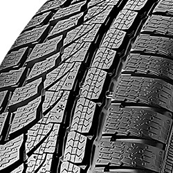 Nokian WR A4 ( 205/55 R16 91H )