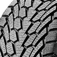 Nexen Winguard (215/70 R16 100T)