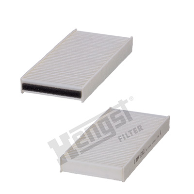 Raitisilmasuodatin HENGST FILTER E3963LI-2