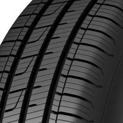 Dunlop Sport All Season ( 195/65 R15 95V XL )