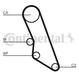 Hammashihna, CITROËN,FIAT,PEUGEOT, 081669, 1473011080