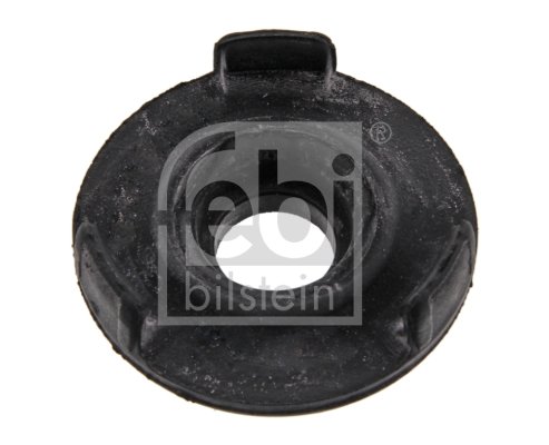 Kiinnitys, tasauspyörästö FEBI BILSTEIN 36485