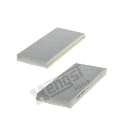 Raitisilmasuodatin HENGST FILTER E2920LI-2