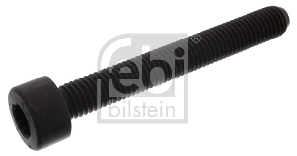 Ruuvi, kampiakselin laakeripesä FEBI BILSTEIN 18164