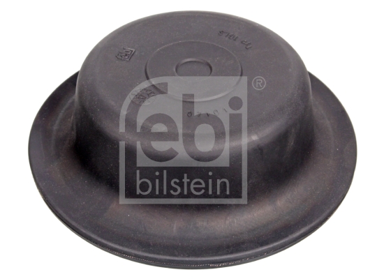 Kalvosylinterin kalvo FEBI BILSTEIN 07101